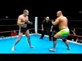 Fedor Emelianenko (Russia) vs Kerry Schall (USA) | The Last Emperor, MMA fight HQ