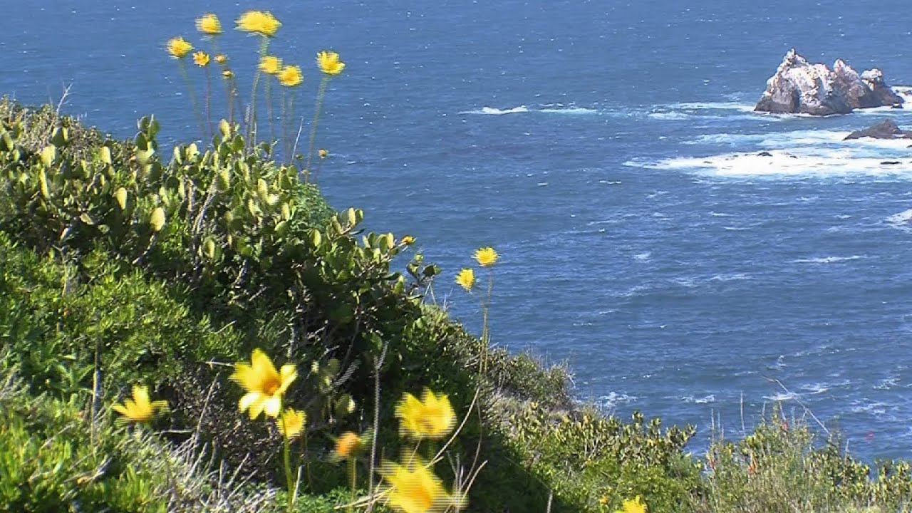 Baja Development Bust is Boon for Environment