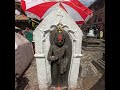 Swoyambhu #monkey temple#youtube search#