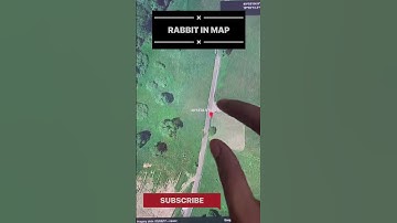 Strange Rabbit in google map// #shorts #youtubeshorts #map #viralvideo #viralshorts