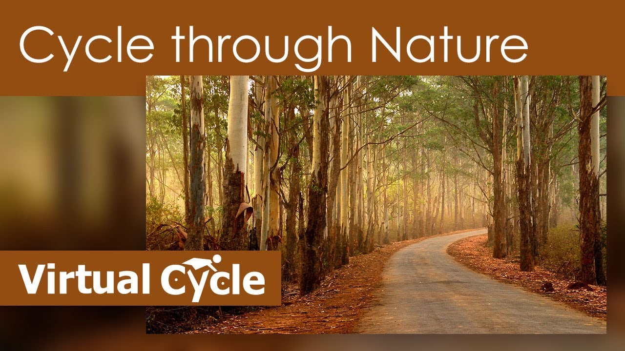 Cycle Through Nature - Virtual Cycle Experience - For Indoor Walking, Treadmill And Running Workouts