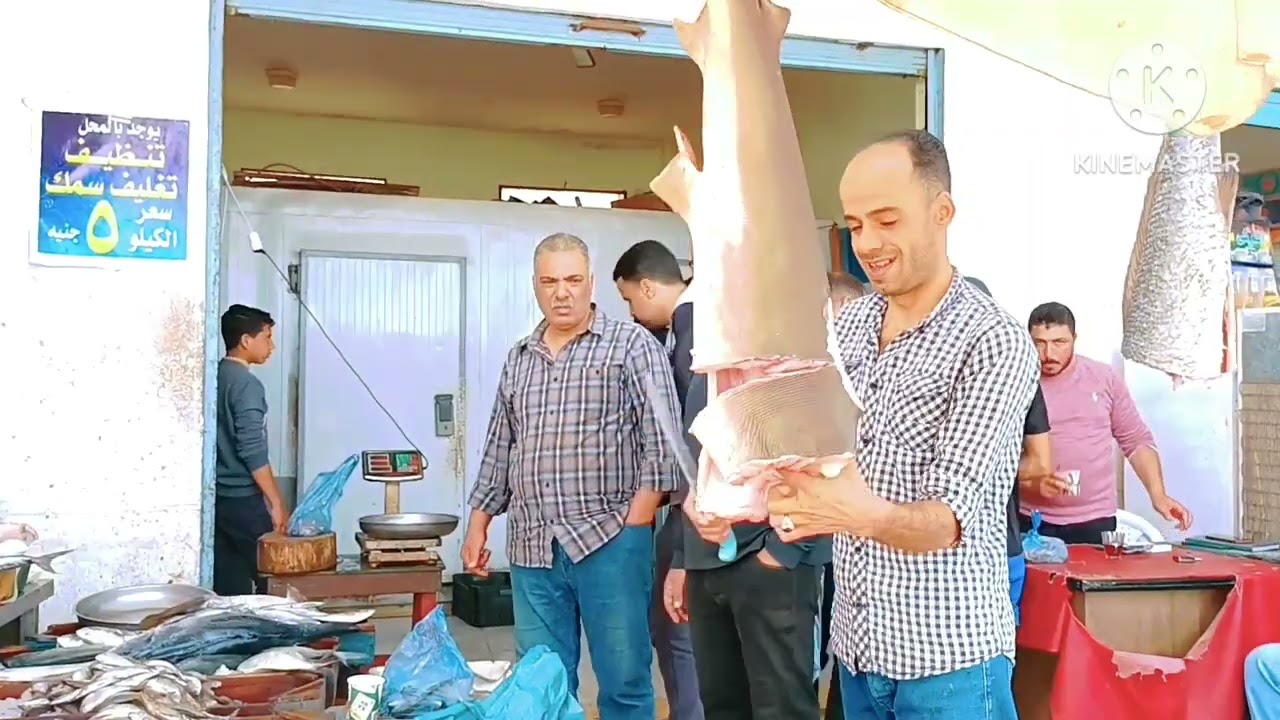 تعالوا شوفوا حلقه السمك في مرسي مطروح واسامي الاسماك جوله في الروقان على الصبح