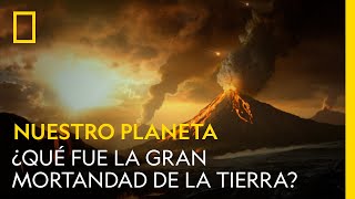 ¿Qué fue la Gran Mortandad de la Tierra? | NATIONAL GEOGRAPHIC ESPAÑA