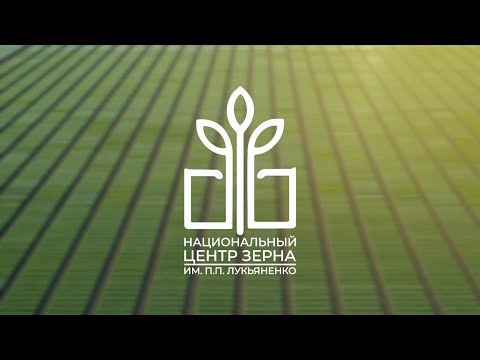 ДЕНЬ ПОЛЯ -