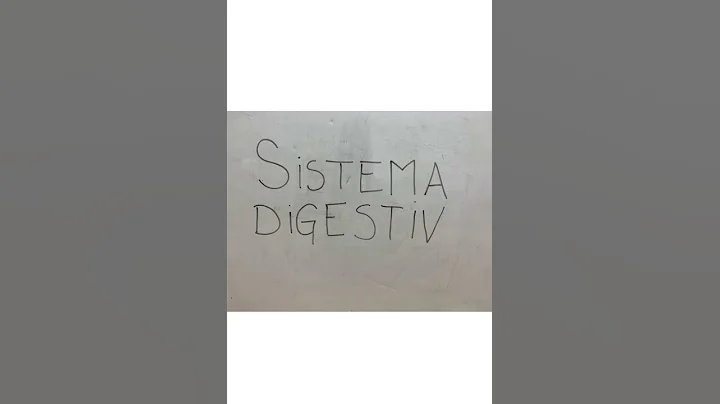 Sistema digestivo- Gretel Jabloski y Brenda Choi