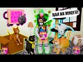 У МЕНЯ 40 КОШЕК?! Roblox Find the Cats