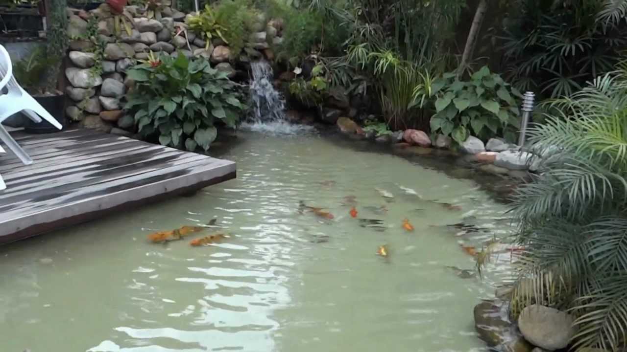 Lago ornamental youtube Cascata em lago ornamental