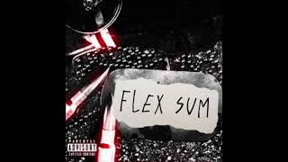 Tg- Flex Sum (Official Audio)