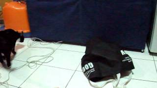 DSCF4150.AVI