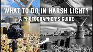 Bright Sun, Harsh Light  - What do you do?
