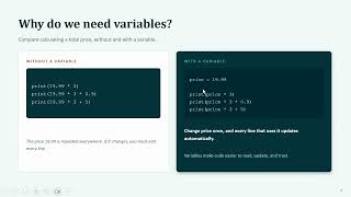 Variables Explained: The Building Blocks of Code