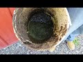 Converting Food Waste into Electricity | Climate Driven