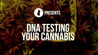 Wonderland Nursery Presents - Phylos Bioscience: DNA Testing Your Cannabis
