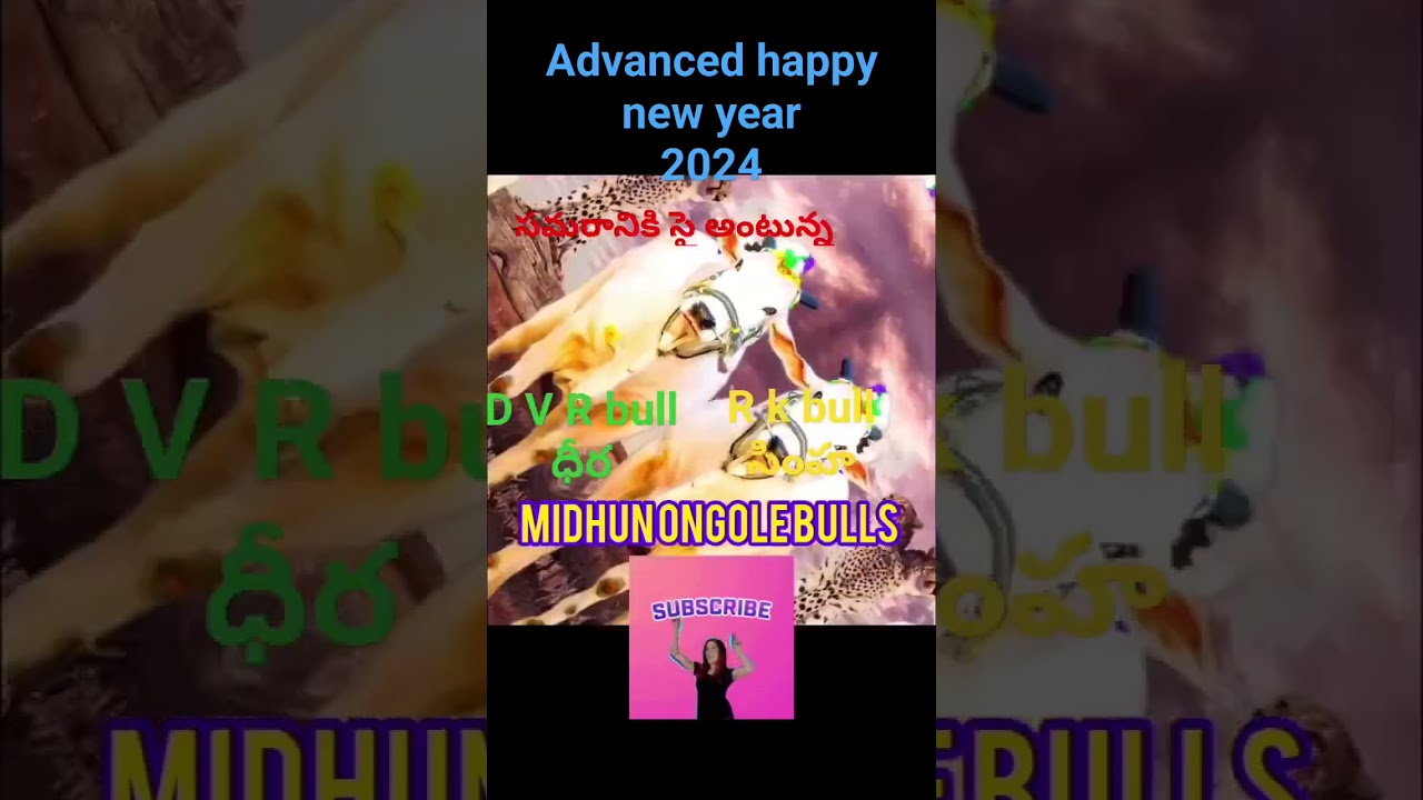 # ready goes to koppuravuru  01-01-2024 seniors D V R bull Dheera&RK bull Simha