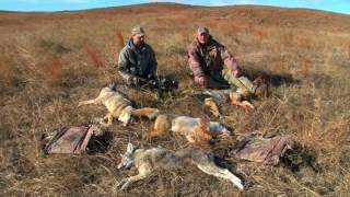 Coyote Hunting with Randy Anderson