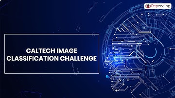 26.Caltech Image Classification Challenge | Projects | Data Science | NADOS