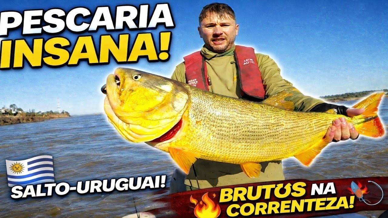Pescaria INSANA de Dourados em Salto no Uruguai | Brutos na Correnteza