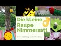 Die kleine Raupe Nimmersatt - Nacherzählung BrandMonteBau