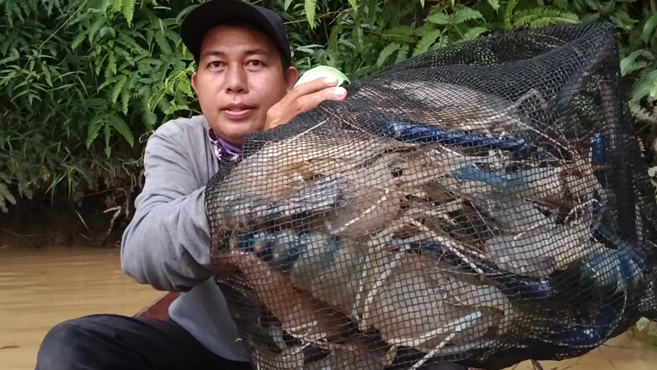 Rezeki Luar Biasa Saat Memancing udang galah monster Dihulu Sungai Yang Tenang 