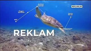 Krt - Reklam Jeneriği 2 2019 - 2020