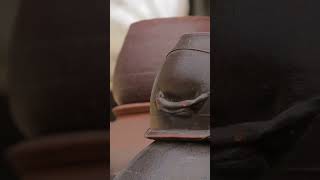 Traditional Korean House