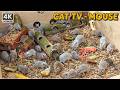 Maze Runner Mice 🐁 Fast Escape &amp; Hidden Treat Hunt 🧀 | 4 HOURS 4K