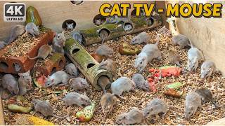 Maze Runner Mice 🐁 Fast Escape & Hidden Treat Hunt 🧀 | 4 HOURS 4K