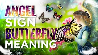 How Angels Send You Messages Through Butterflies l Angel Signs For You