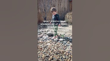 What speech delay sounds like at 3 years old.