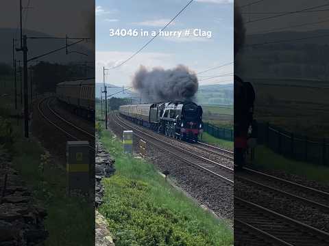 34046 Braunton on