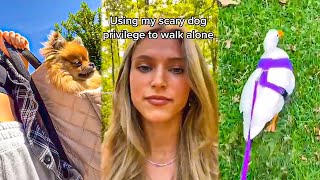 Using my scary dog privileges to walk alone ~ TikTok