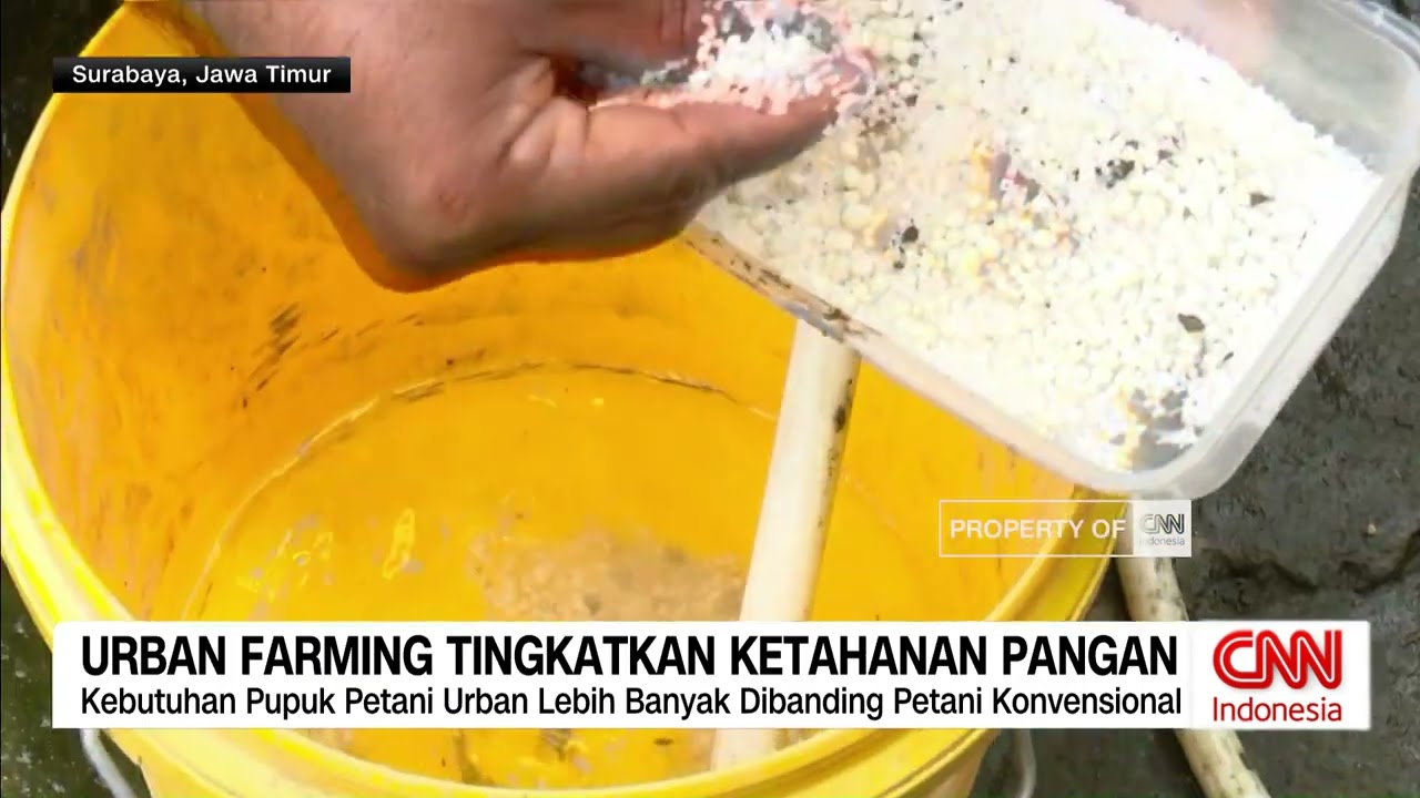 Urban Farming Tingkatkan Ketahanan Pangan