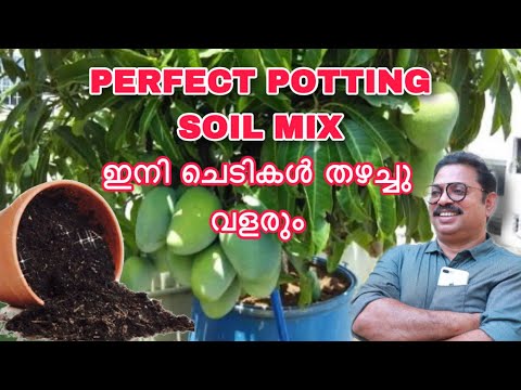 PERFECT POTTING SOIL MIX FORMULA FOR TERRACE GARDENING - YouTube