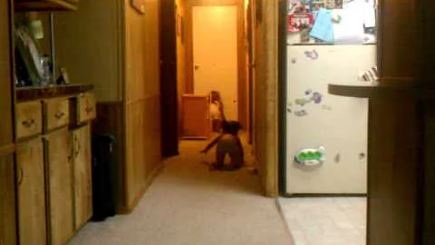 VIDEO0095