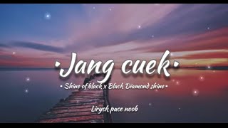 Jang cuek - Shine of black x black diamond shine ( vidio lirick )