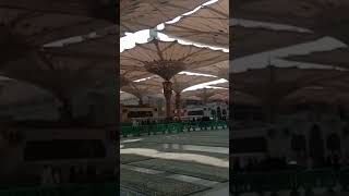 Keindahan Payung Masjid Madinah#madinah#masjid#makkah#viral#trending#shorts#video#youtubeshorts#arab