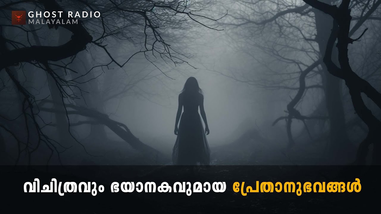 വിചിത്രവും ഭയാനകവുമായ പ്രേതാനുഭവങ്ങൾ | horror story malayalam | ghost story malayalam