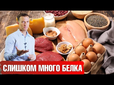 Видео: Можно ли есть слишком много белка?