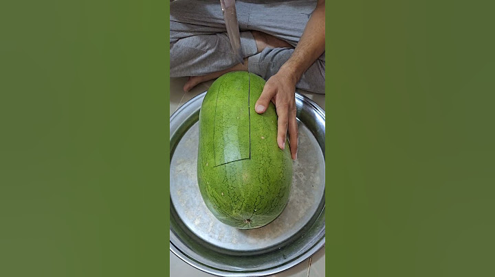 ركي العراقي الأفضل في العالم او البطيخ Ricky Watermelon@H.assan1987