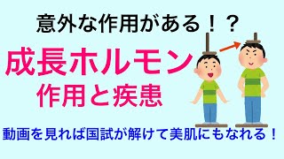 【６分で解説、６分で国試解説】成長ホルモンの作用と疾患について解説