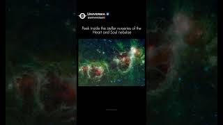 Heart and Soul Nebulae – Star-Forming Giants in the Milky Way | WISE Infrared View