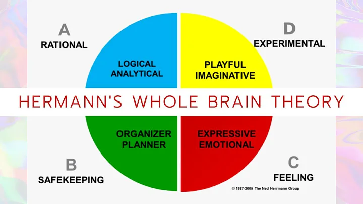 HERRMANS MODEL || WHOLE BRAIN THEORY