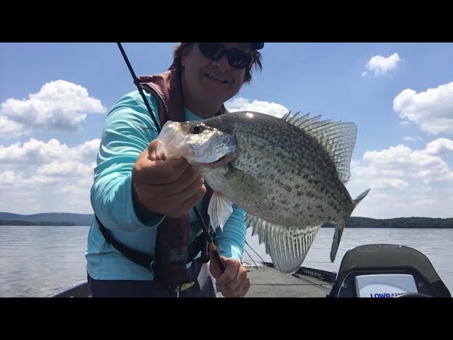 Summertime Crappie Fishing Is Here With Proline Baits Crappie Scent & Alien  Premium Lures! ￼ 