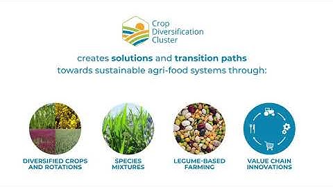 Crop Diversification Cluster