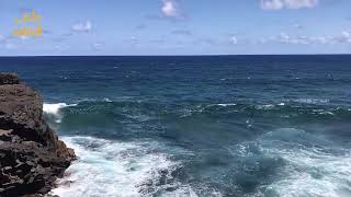 رحلة استرخاء على الشاطئ: منظر رائع وصوت الأمواج