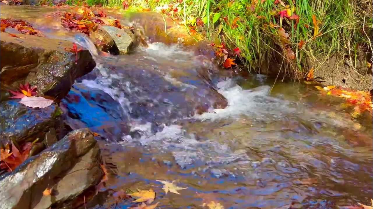 Beautiful Japan* soothing sound of water*Amazing scenery in 4k60fps