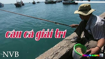 Câu Cá Biển | Câu Cá Giải Trí Bên Cầu Cảng Đại Lãnh | Ngày Thứ Mười Cả Nước Cách ly Phòng bệnh