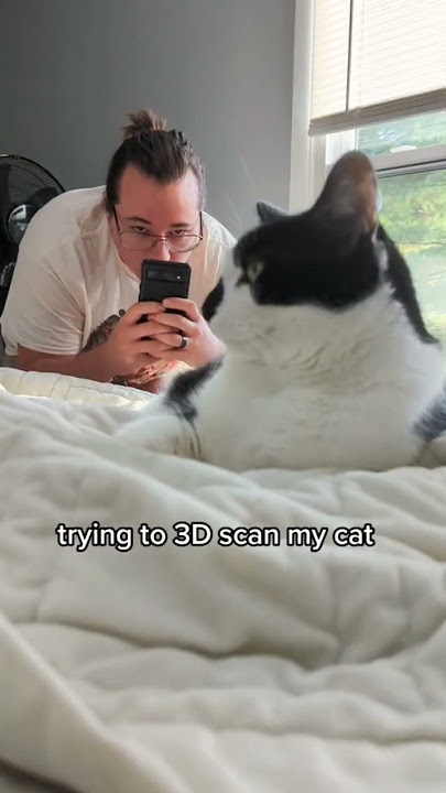 3D scanning my cat #3d #art #shorts #ytshorts #cats