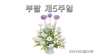 2024년4월28일 연중 제5주일 교중미사 정병철 요셉신부