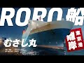 【実録】貨物を輸送するRORO船とは?夜の東京港を離岸する現場に密着!